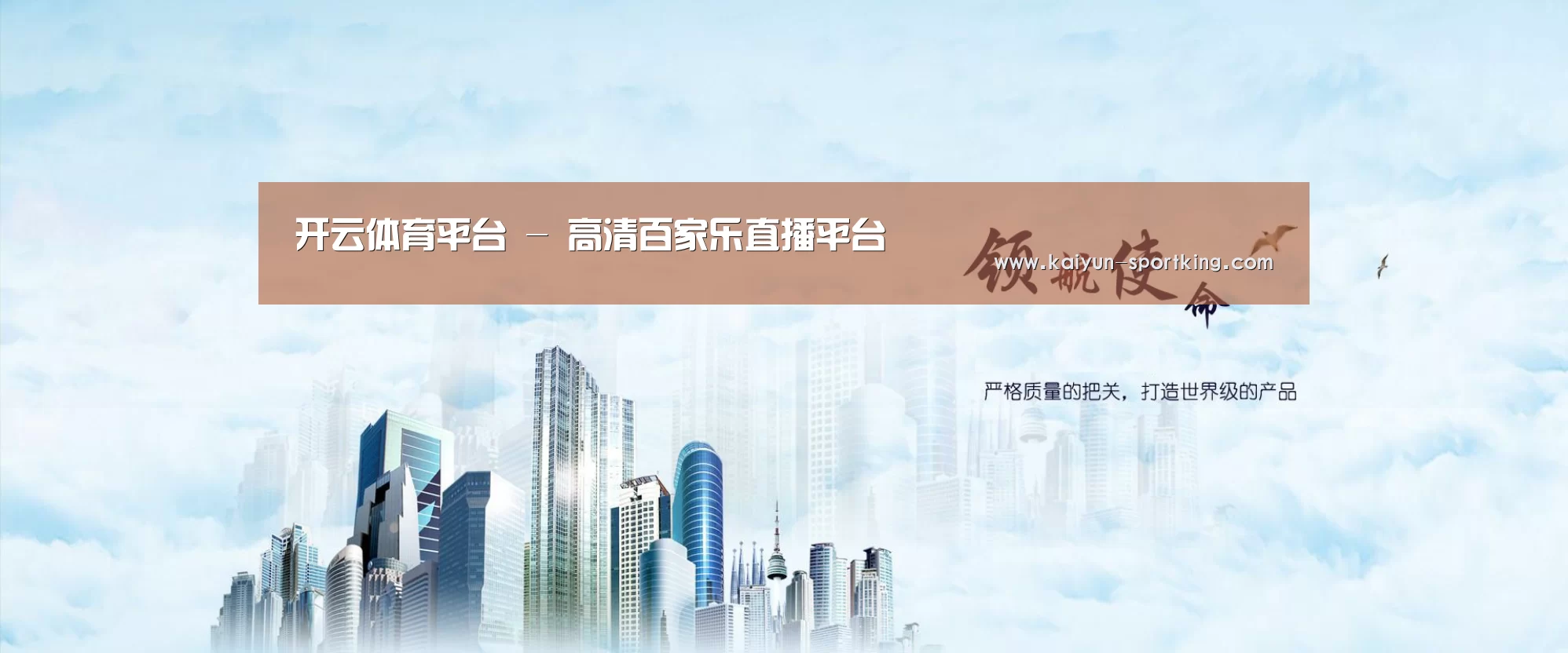 开云体育公司