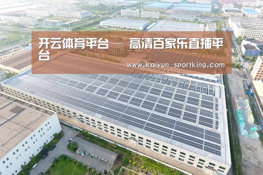 案例展示一