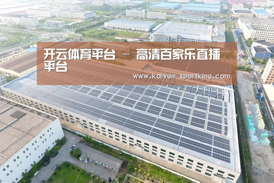 案例展示二