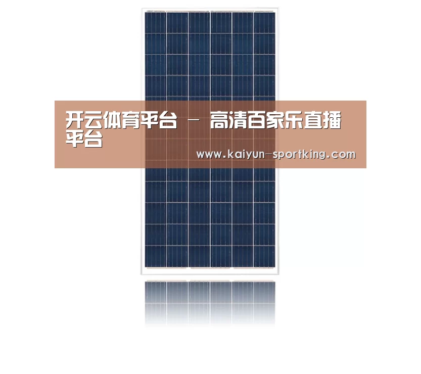 产品名称一