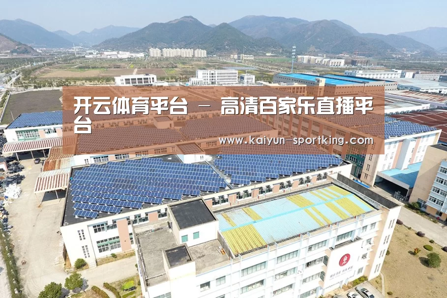 案例展示三