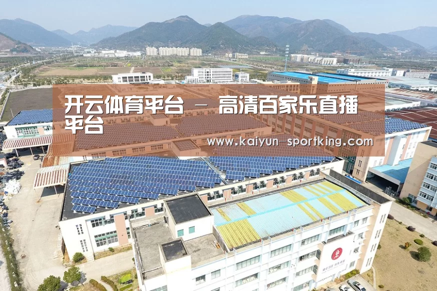 案例展示三