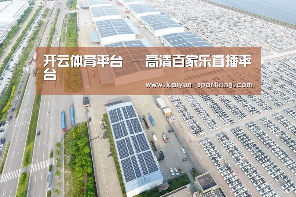 案例展示三