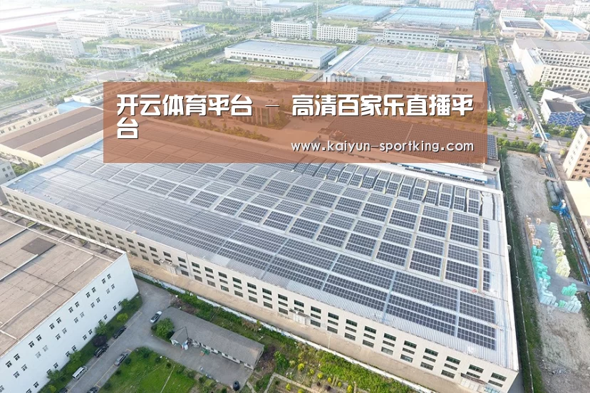 案例展示四