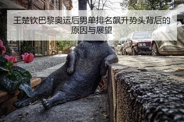 王楚钦巴黎奥运后男单排名飙升势头背后的原因与展望