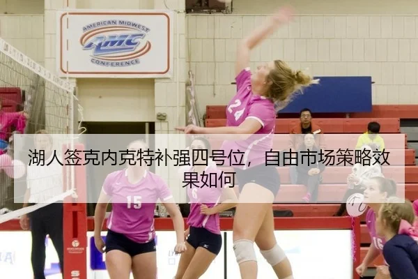 湖人签克内克特补强四号位，自由市场策略效果如何